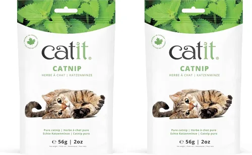 Vista 8 de Catit Burbujas de hierba gatera para estimular gatos de interior y exterior