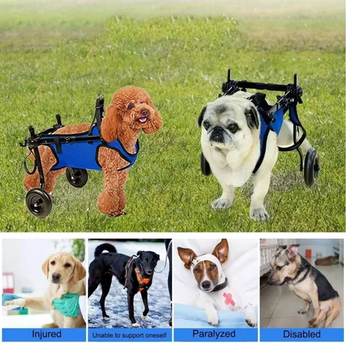 Vista 3 de Silla de ruedas ajustable para perros traseros, andador de movilidad para perros pequeños con tabla de tallas, arnés de hebilla fácil, soporte
