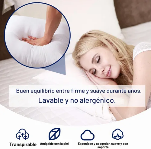 Vista 4 de HITO 12x20 Insertos de almohada (Juego de 2) - Fundas de almohada decorativas 100% algodón con relleno de alternativa al plumón, color blanco
