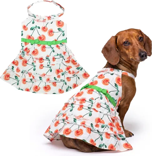 Vista 24 de Parisian Pet Chambray - Vestido para perro - Ligero sin mangas para perro, niña, talla XS Chambray en general