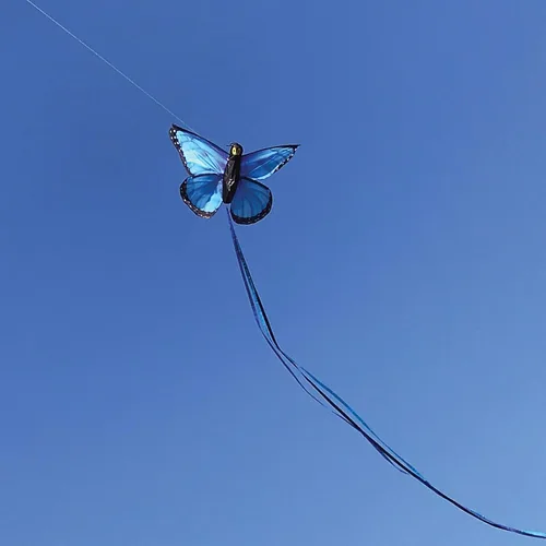 Vista 2 de In the Breeze Cometa de mariposa, cometa divertida y fácil de volar