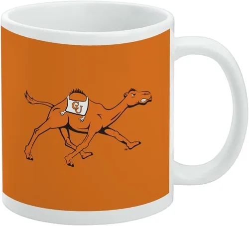 Vista 384 de Taza de cerámica con el logotipo principal de la Universidad Rider, taza de regalo novedosa para café, té y bebidas calientes, 11oz, blanca