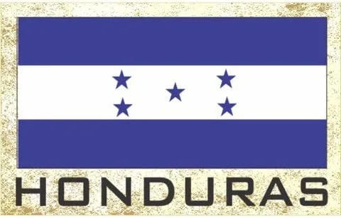 Vista 2 de Imanes para frigorífico con bandera - Americas Grp 2 (paquete de 1, País: Paraguay)
