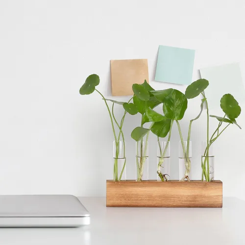 Vista 8 de Estaciones de propagación YIBOT, terrario de plantas con soporte de madera, regalos de jardinería de cumpleaños para mujeres, madres amantes