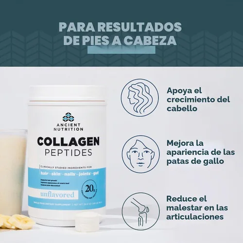 Vista 4 de Ancient Nutrition - Péptidos de colágeno sin sabor, 9.88 OZ