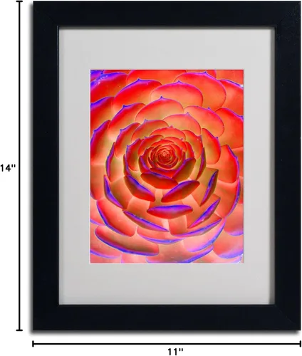 Vista 6 de Trademark Fine Art Arte de plantas en arte enmarcado mate por Patty Tuggle en marco negro, 11 x 14 pulgadas
