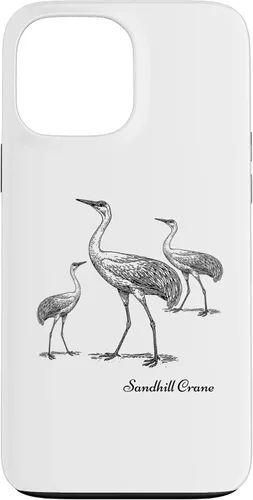 Vista 24 de Sandhill Crane Bird Ornithology Case for iPhone 17