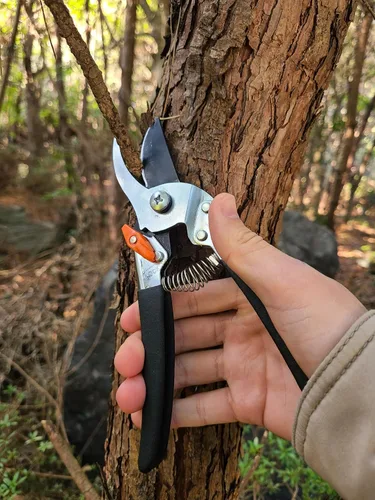 Vista 8 de Saboten Tijeras de podar Bypass de 7.9 pulgadas, hoja de acero al carbono de alta calidad con revestimiento de flúor, empuñadura antideslizante