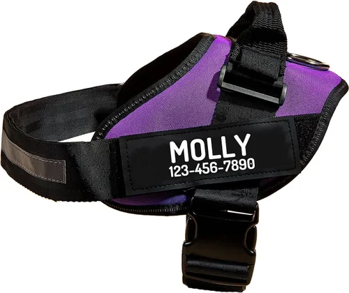 Vista 22 de Arnés personalizado sin tirones para perro con 2 parches personalizados para nombre y teléfono, chaleco reflectante transpirable para mascotas
