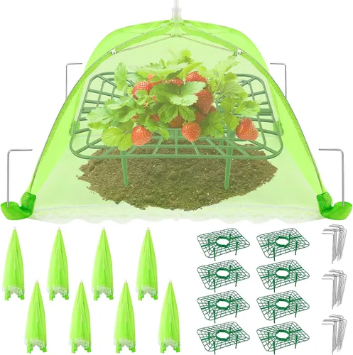 Vista 7 de Paquete de 6 soportes de fresa, plantas de soporte de fresa vivas para plantar, marco de cultivo de fresas, enrejado de fresa para mantener la fruta