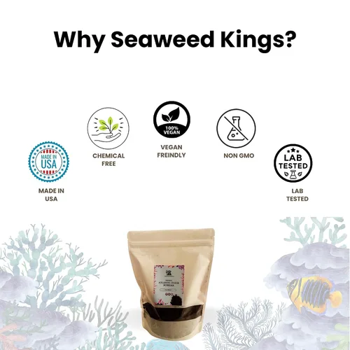 Vista 6 de Seaweed Kings Dulse Powder - Algas marinas crudas del Atlántico, mini copos, perfectas para aperitivos, condimentos, sopas y ensaladas, 100% puras