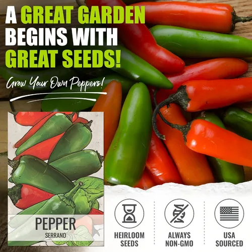 Vista 2 de Seed Needs Semillas de pimiento picante para plantar chiles serranos, semillas de vegetales sin OMG y sin tratar para plantar un jardín vegetal