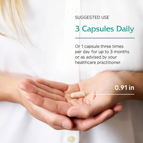 Vista 5 de Vitanica Colon Motility Blend - Suplemento intestinal saludable para apoyar la salud y la digestión del colon - Enzimas digestivas con magnesio