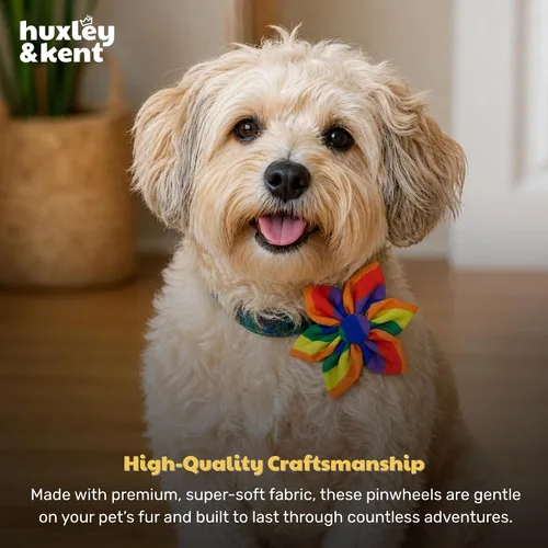 Vista 7 de Huxley & Kent Molinete para mascotas Igualdad (pequeño) Accesorio de collar de orgullo para perros/gatos Accesorio para mascotas divertido