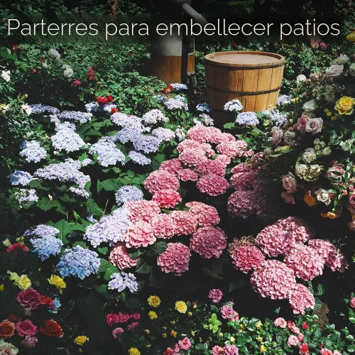 Vista 6 de Gardeners Basics, paquetes de semillas de flores para plantar 35 variedades individuales perennes, anuales, semillas de flores silvestres