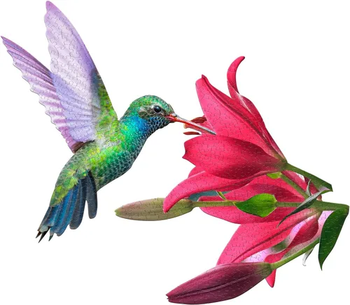 Vista 6 de Madd Capp I Am Hummingbird - Rompecabezas de 300 piezas en forma de pájaro, multicolor