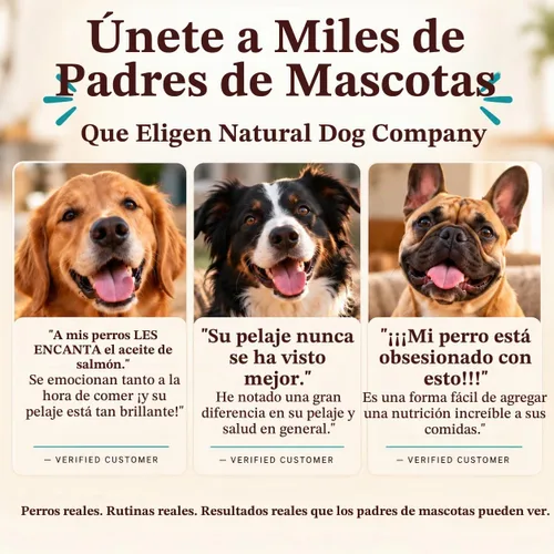 Vista 7 de Natural Dog Company - Aceite de salmón salvaje de Alaska para perros