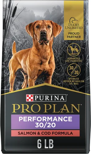 Vista 12 de Purina Pro Plan Sport Performance 30/20 - Alimento seco para perros con fórmula de carne de res y bisonte, bolsa de 6 libras