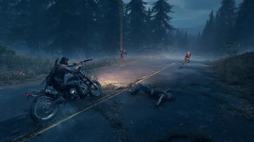 Vista 9 de Days Gone Standard - PC Código de juego en línea