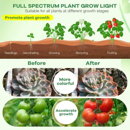 Vista 4 de Luces LED de cultivo, luz de planta de espectro completo con 4 cabezas y abrazadera para plantas de interior y arranque de semillas, 10 niveles