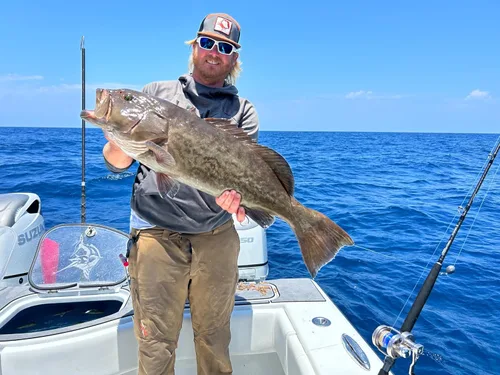 Vista 8 de Fitzgerald Stunner HD Saltwater Offshore Spinning Rod Series Pesca Pesca Pesca
