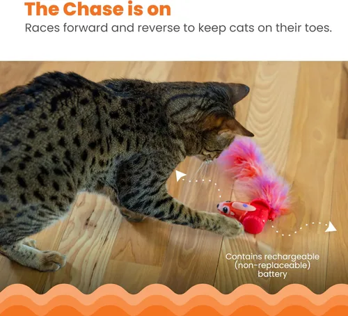 Vista 2 de Catstages Racin' Squirrel Robot, juguete electrónico para gatos en movimiento con plumas, recargable por USB, rojo