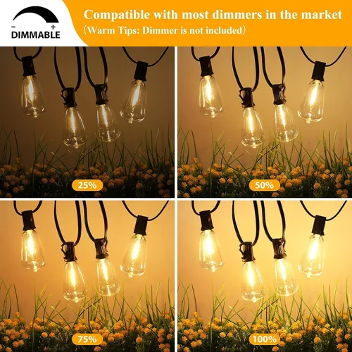 Vista 3 de NOTOC Bombilla LED de repuesto, bombilla Edison regulable, luz blanca cálida de 0.6 W, base de tornillo G40/E12, bombillas LED ST38 inastillables
