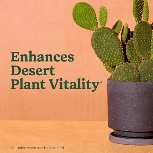 Vista 4 de Miracle-Gro Mezcla para macetas de interior para cactus y suculentas, mezcla para macetas de cactus y suculentas de drenaje rápido con alimentos