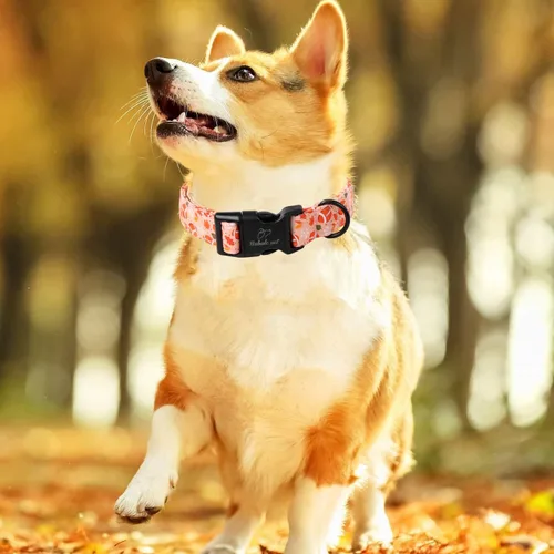 Vista 406 de Collar para perros del 4 de julio, collares patrióticos azules para cachorros y perros pequeños, ligero y ajustable 1776 collares para cachorros