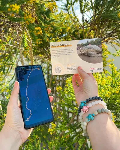 Vista 4 de Fahlo Pulsera de seguimiento de tortuga marina, elástica, soporta la conservación de tortugas marinas, talla única para hombres y mujeres, Piedra