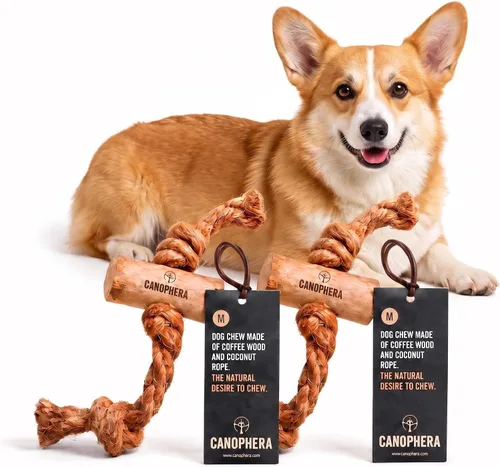 Vista 10 de Canophera Juguete masticable de madera y coco para perros para dientes y encías saludables, tamaño pequeño, todas las razas de perros