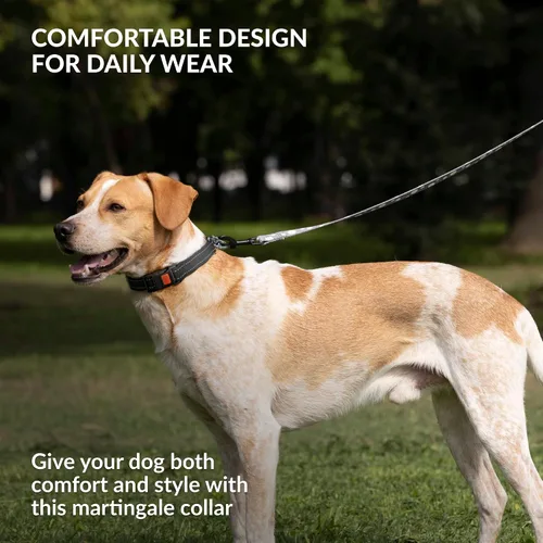 Vista 5 de CollarDirect Martingale - Collar para perro con cadena de acero inoxidable y hebilla de liberación rápida, collar reflectante para perros grandes