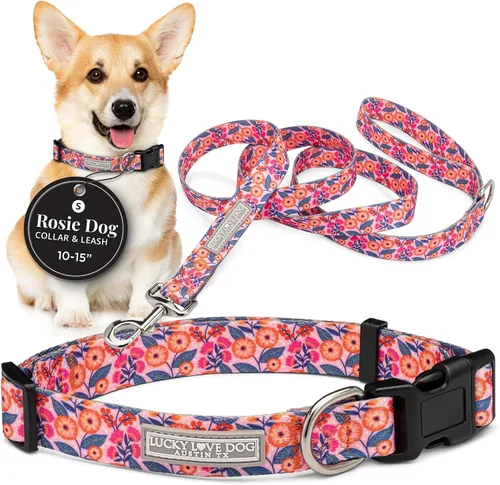 Vista 49 de Lucky Love Dog - Collar para perras pequeñas, diseño Blackbird de estampado alegre con flores de primavera y verano, talla XS Collar Blackbird