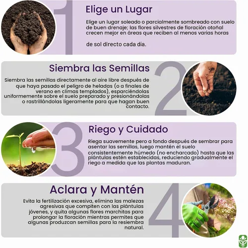 Vista 5 de Mezcla otoñal de flores silvestres
