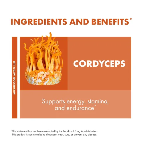 Vista 6 de Host Defense Cordyceps Powder - Suplemento de apoyo inmunológico y energético - Suplemento de salud renal con hongos Cordyceps - Suplemento de apoyo