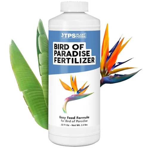 Vista 8 de Bird of Paradise Fertilizer - Alimento líquido para plantas para hojas tropicales más grandes, raíces más fuertes y crecimiento vertical saludable
