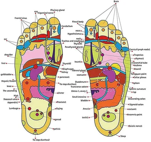 Vista 5 de Masajeador de pies plantares de acupresión, pantuflas de reflexología, sandalias para hombres y mujeres, ayuda para fascitis plantar dolor de talón