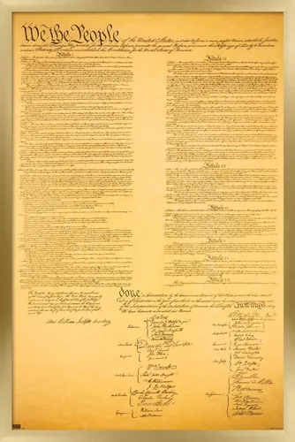 Vista 18 de Trends International Póster de pared de The Constitution, 14.725 x 22.375 pulgadas, versión enmarcada de madera de granero Versión enmarcada Barnwood