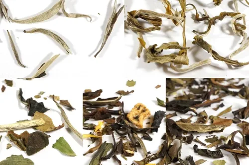 Vista 9 de Beantown Tea & Spices - Paquete económico de muestras de té. 30 muestras de té gourmet de hojas sueltas y 100 filtros. Paquete variado. Gran idea