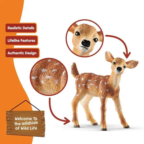 Vista 3 de Schleich Wild Life - Figura realista de ciervo de cola blanca auténtica y altamente detallada - Juguete de animal salvaje duradero para educación