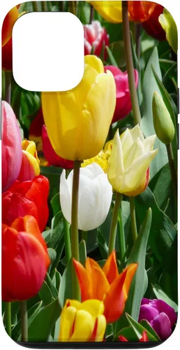 Vista 28 de Funda botánica para iPhone 17 con flores coloridas y tulipanes para amantes de las plantas