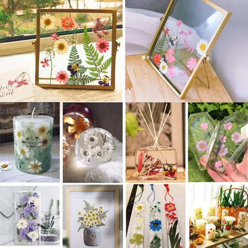 Vista 5 de BIHRTC 100 hojas secas prensadas naturales, hojas secas prensadas, girasoles, crisantemo, margaritas para manualidades, resina, joyería, fabricación