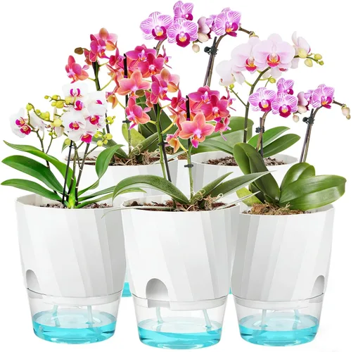 Vista 9 de Macetas de Riego Automático KIMCHOMERSE, Macetas de 6 Pulgadas para Orquídeas, Pack de 3 Macetas para Flores, Macetas para Plantas