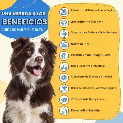 Vista 2 de Multivitamínico para perros con minerales para la salud general, vitaminas y suplementos para perros con glucosamina, probióticos para cachorros