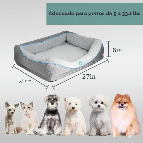 Vista 2 de Cama ortopédica para perros pequeños, sofá impermeable para perros pequeños, sofá de espuma de apoyo para mascotas con funda extraíble, parte