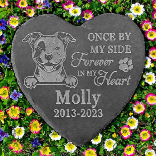 Vista 33 de Regalos conmemorativos de American Staffordshire Terrier, piedra de terrier estadounidense de Staffordshire, regalos de pérdida de American