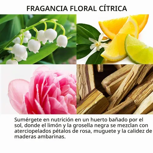 Vista 2 de FEKKAI Technician - Máscara flash de color - 5 onzas - Ofrece vitalidad e hidratación - Libre de sulfatos, parabenos, ftalatos - Vegano, libre