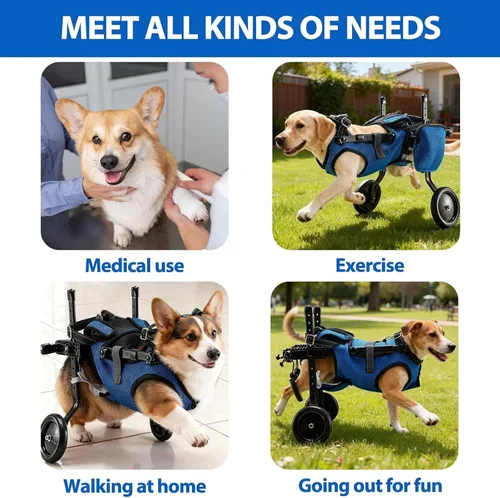Vista 7 de Silla de ruedas para perros para patas traseras, silla de ruedas ligera y ajustable, carrito de apoyo completo para patas traseras, inconvenientes