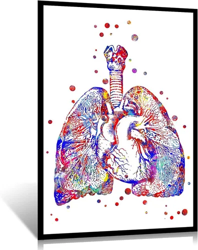 Vista 13 de Sección de corazón, anatomía de corazón, acuarela, corazón, arte humano, corazón, impresión de corazón, acuarela, sección de corazón, sección