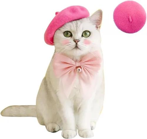 Vista 12 de Gorras de boina para perro Boinas para gatos Moda para las cuatro estaciones Graciosas y cómodas de lana Gorra para mascotas (Negro)